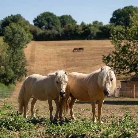 Chateau La Monge - Perche Villa La Ferté-Bernard