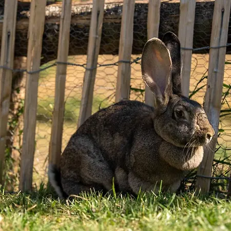 Chateau La Monge - Perche *