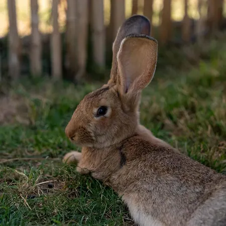 Villa Chateau La Monge - Perche La Ferté-Bernard