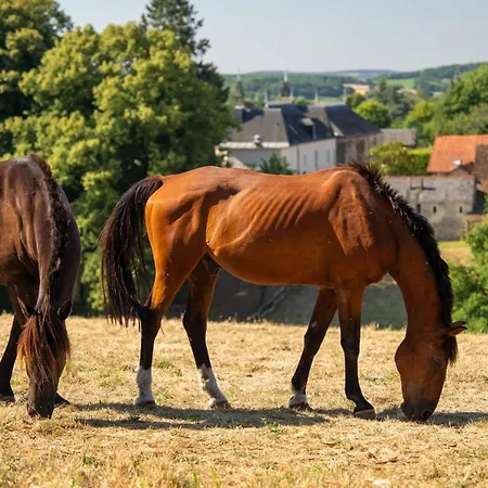 Chateau La Monge - Perche Villa