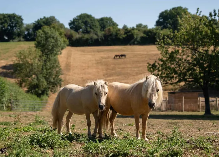 Chateau La Monge - Perche 别墅 拉弗特伯纳德