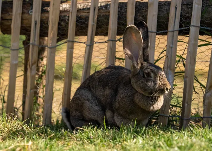 Chateau La Monge - Perche *