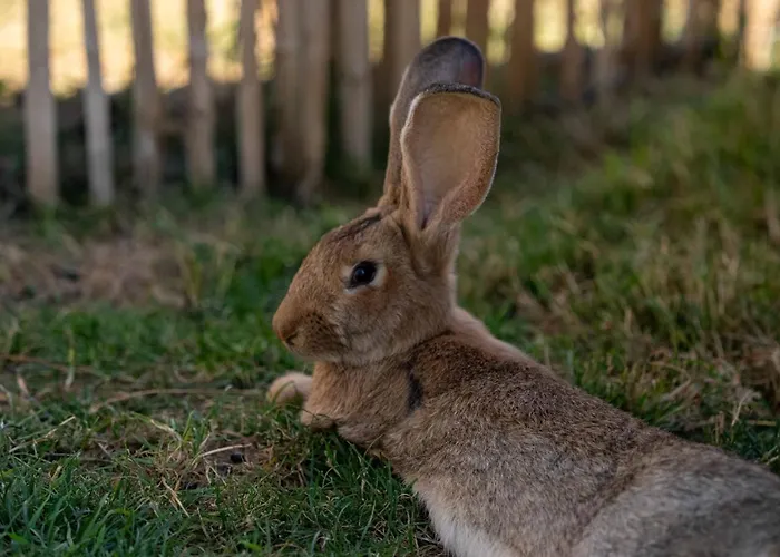 别墅 Chateau La Monge - Perche 拉弗特伯纳德