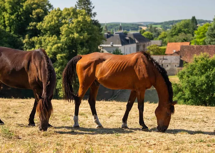 Chateau La Monge - Perche 别墅